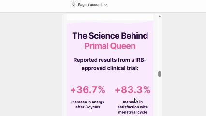 Boutique dupliquée grâce à Copyshop